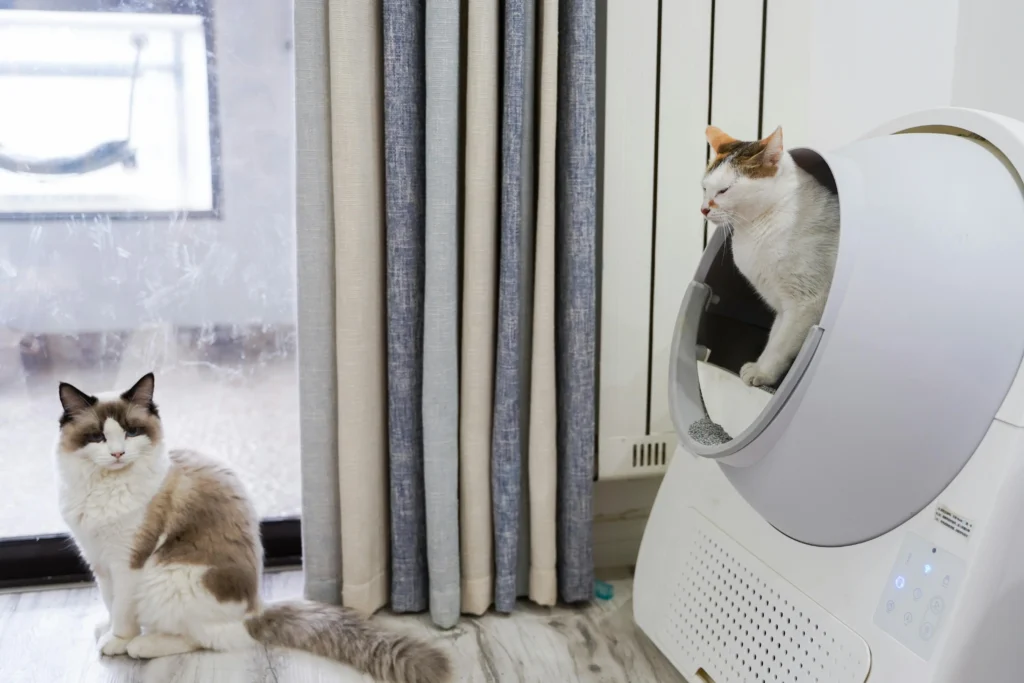 Gatificação e Higiene: 7 Itens Indispensáveis para Apartamento 11 Gato utilizando Liteira Automática Inteligente, do reino do gato