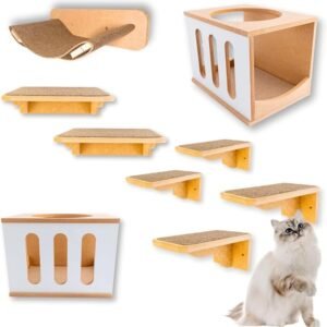 Playground Gato 9 Peças Super Resistente Montado Premium