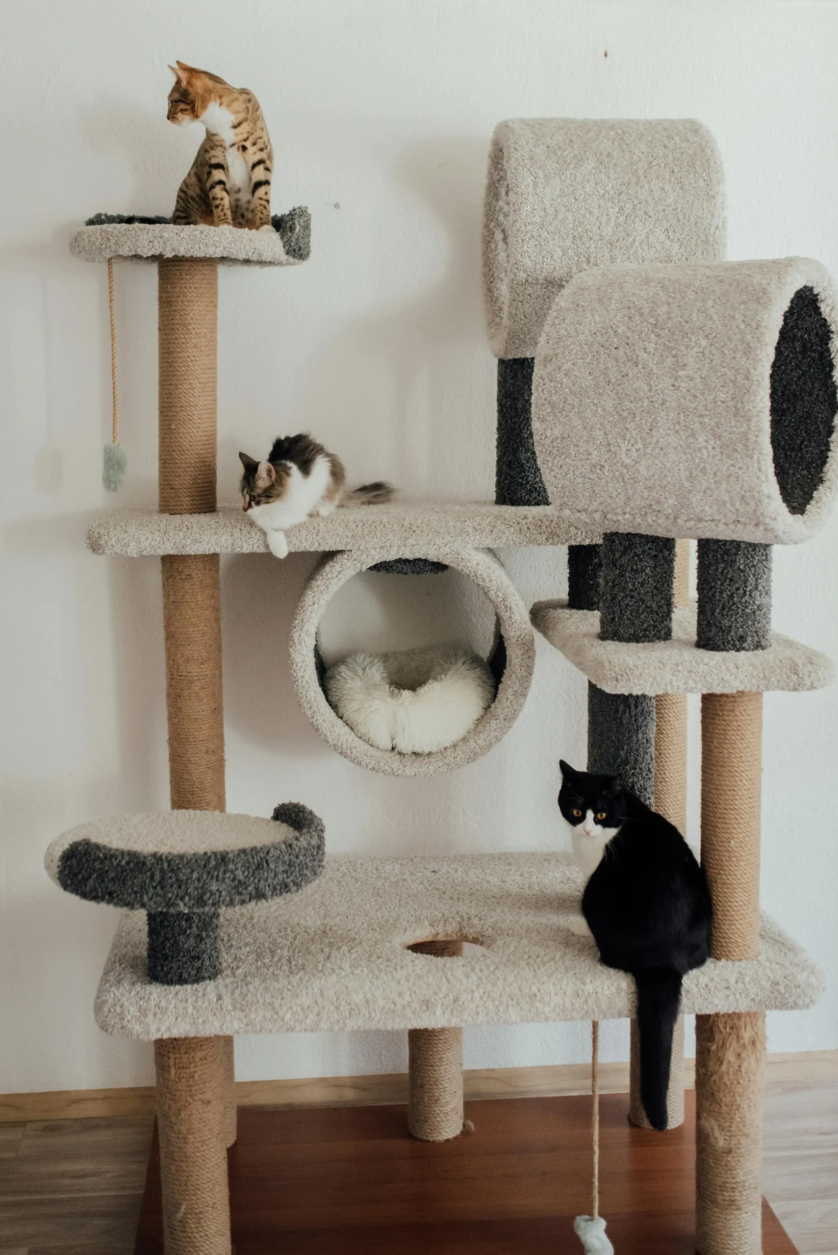 HOME 9 Arranhador castelo gigante para gatos em apartamento com nichos e prateleiras de pelúcia.
