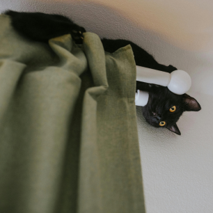 Gatos e Fogos de Artifício: Guia para o São João 2026 8 Gato preto escondido no topo de um varão de cortina, próximo ao teto, com olhar de alerta, exemplificando a busca por locais altos e impossíveis durante o medo de fogos.