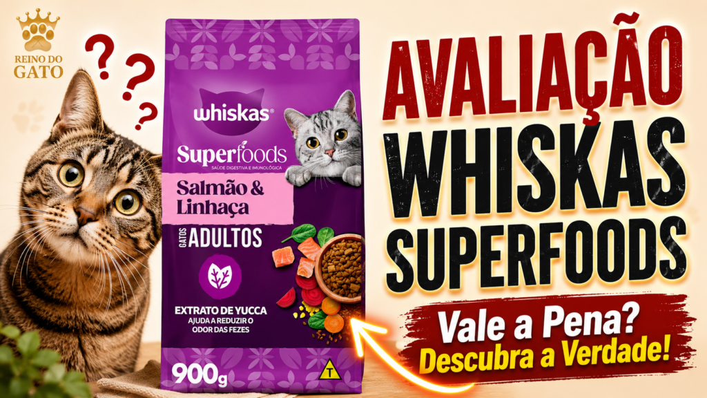 Whiskas Nova Fórmula 2026 e Sachês: É boa para seu Gato? 2 Whiskas Nova Fórmula 2026 e Sachês É boa para seu Gato